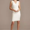 Scalloped Lace V-Neck Sheath Knee-Length Dress