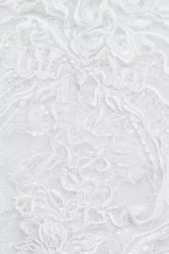 Beaded Lace Wedding Dress With Pleated Skirt -Floral Applique Dresses Shop CWG780 WHITE OLEG SWATCH PROD5 006