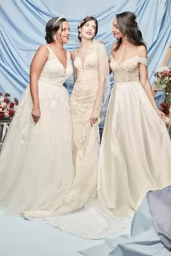 Embroidered V-Neck Wedding Dress With Tulle Skirt -Floral Applique Dresses Shop CWG888 PDP Crop JAN12 1920x2880