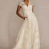 Scalloped Lace Cap Sleeve Ball Gown Wedding Dress