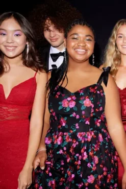 Floral Embroidered Sweetheart A-Line -Floral Applique Dresses Shop D24NY22627 PDP Crop JAN19 1920x2880