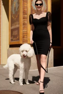 Ruched Crepe Sheath With Pindot Sleeves -Floral Applique Dresses Shop D29NY22593 2 PDP Crop JUNE21 1920x2880