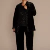 Plus Size Long Sleeve Velvet Sequin Pantsuit