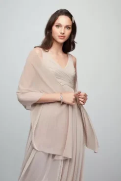 Long Mesh Dress With Cowl Back Detail -Floral Applique Dresses Shop F15933 ZZZ3