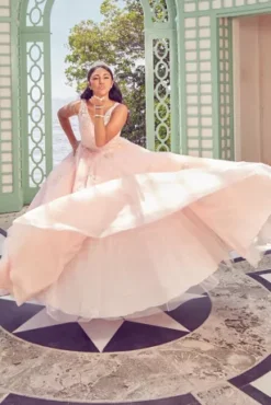 Fairytale Ballgown With Embellished Lace Applique 7 Fairytale Ballgown With Embellished Lace Applique -Floral Applique Dresses Shop FR2103 PDP Crop JUNE21 1920x2880