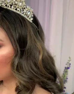 Corded Lace Quince Ball Gown With Bolero -Floral Applique Dresses Shop FR2112 PDP