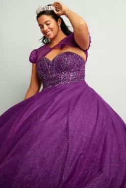 Beaded Bodice Ball Gown Quince Dress With Bolero -Floral Applique Dresses Shop FR2207 3 PDP Crop NOV4 1920x2880