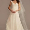 Cap Sleeve Dot Trim Point D'Esprit Wedding Dress