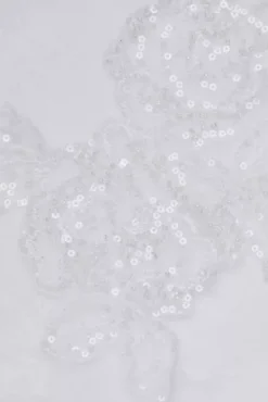 Cap Sleeve Dot Trim Point D'Esprit Wedding Dress -Floral Applique Dresses Shop MS251230 SOLIDIVORY MS SWATCH PROD3