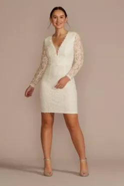 Long Sleeve Illusion V-Neck Short Dress