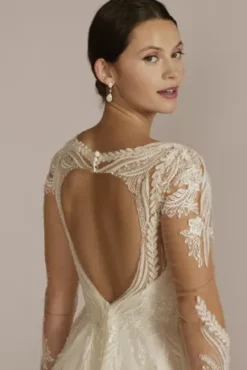 Plunging Open Back Tulle Wedding Dress -Floral Applique Dresses Shop SLCWG901 IVORY OLEG PROD2 295
