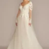 Appliqued Cap Sleeve Tulle Ball Gown Wedding Dress