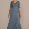 Chiffon And Lace Empire Waist Gown