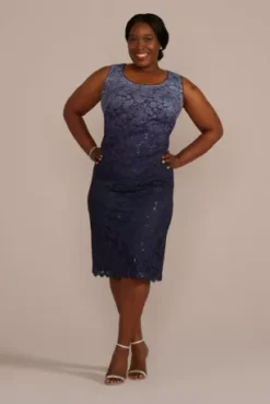 Plus Size Short Ombre Stretch Lace Tank Dress