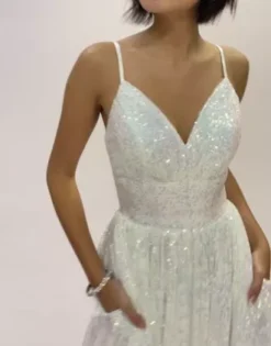 Iridescent Sequin V-Neck Ball Gown -Floral Applique Dresses Shop WBM3382 PDP