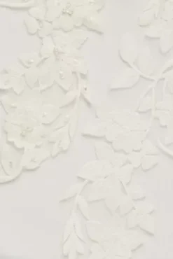 Appliqued Cap Sleeve Tulle Ball Gown Wedding Dress -Floral Applique Dresses Shop WG4037 SOLIDIVORY DBSTU SWATCH PROD2 002