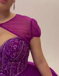 Beaded Bodice Ball Gown Quince Dress With Bolero -Floral Applique Dresses Shop fr2207 bolero PDP